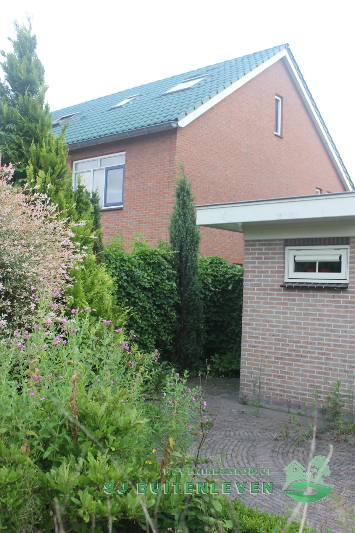 Zijkant van de woning in Heerhugowaard met hoge coniferen en een dichte klimhaag langs de gevel, vóór de start van de tuinrenovatie.