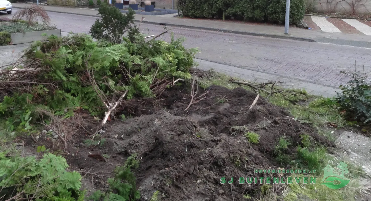 Grond met resten van de gerooide conifeer na het verwijderen van de begroeiing, project Voortuin Renovatie in Slootdorp door hovenier SJ Buitenleven