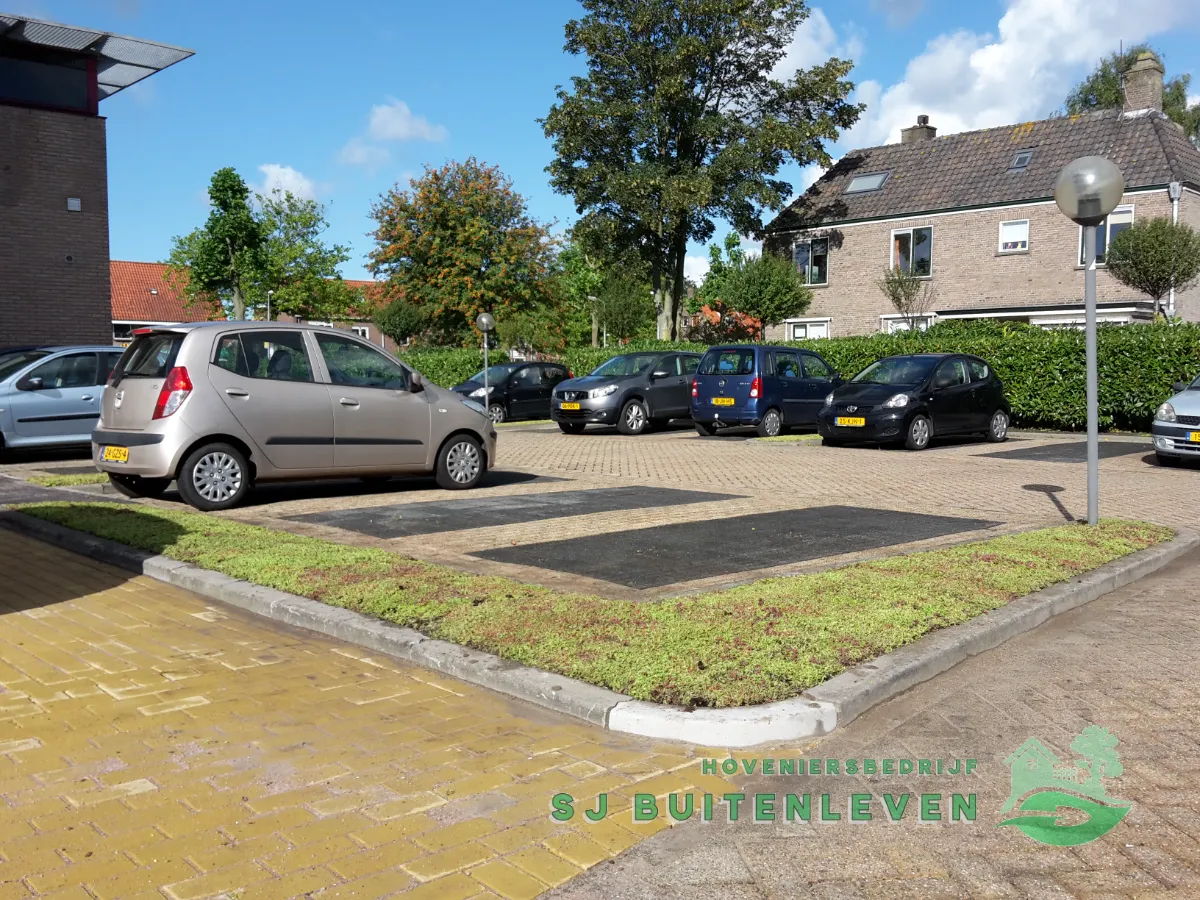 Overzicht van het parkeerterrein met langgerekte sedumvakken tussen de parkeervakken in Middenmeer.