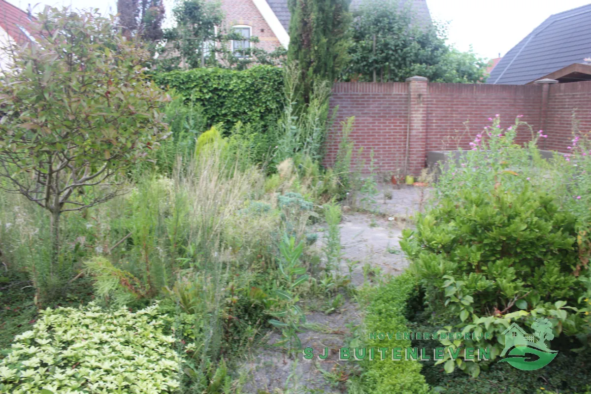 Verwilderde borders vol opschietend onkruid langs de schutting bij deze tuin in Heerhugowaard door hovenier SJ Buitenleven (situatie vooraf).