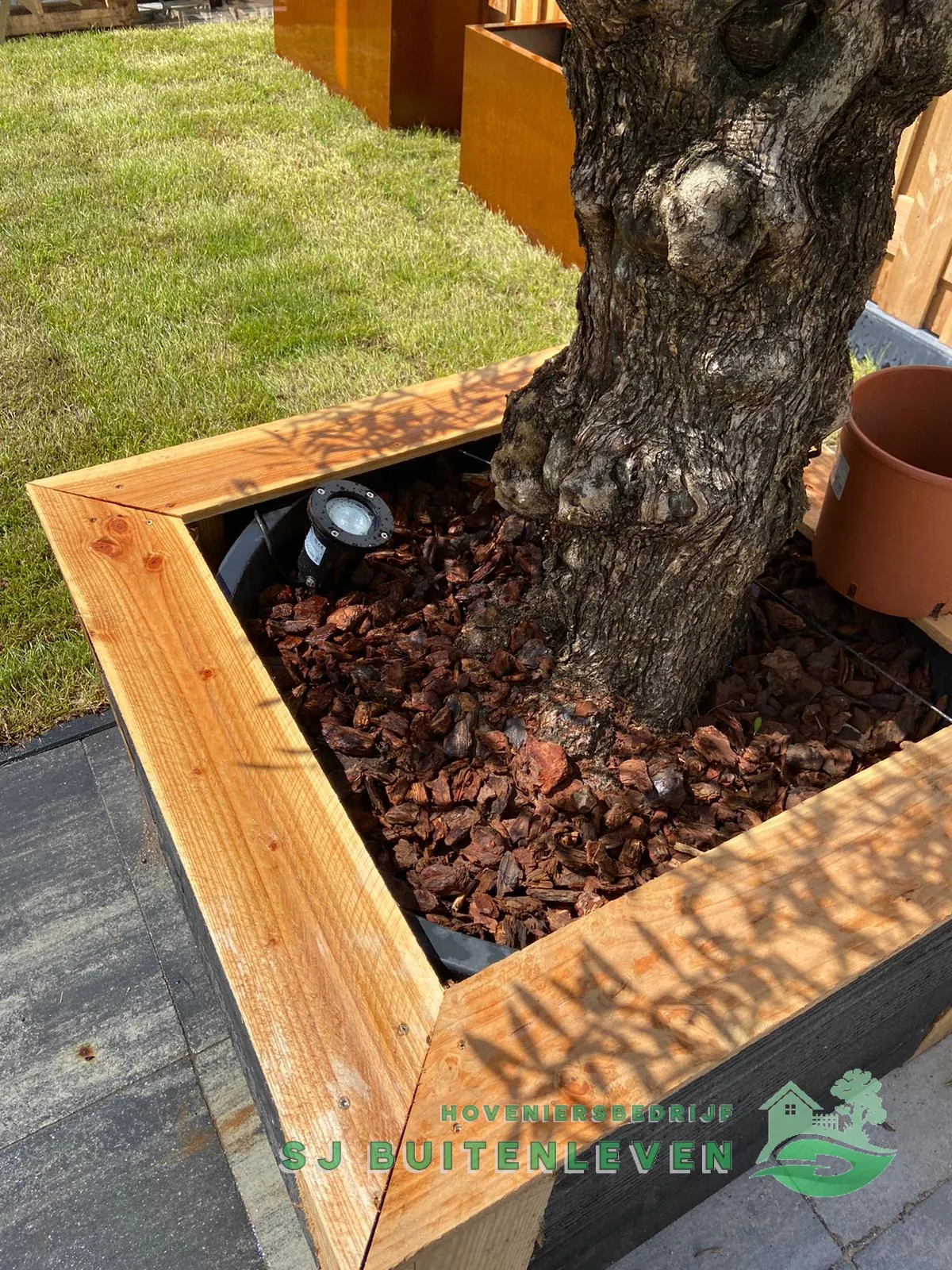 Tuinaanleg in Spanbroek: detail van een houten plantenbak rond een bestaande boom, gevuld met boomschors en een grondspot.
